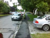Imagine atasata: pista crisan 10.JPG